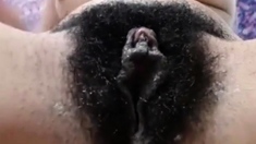 Extrem Hairy And Stinky Cam-slut